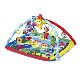 Baby Activity Gym